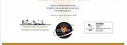 Master in”Ipnosi Regressiva alle Vite Precedenti” di Erika Lion